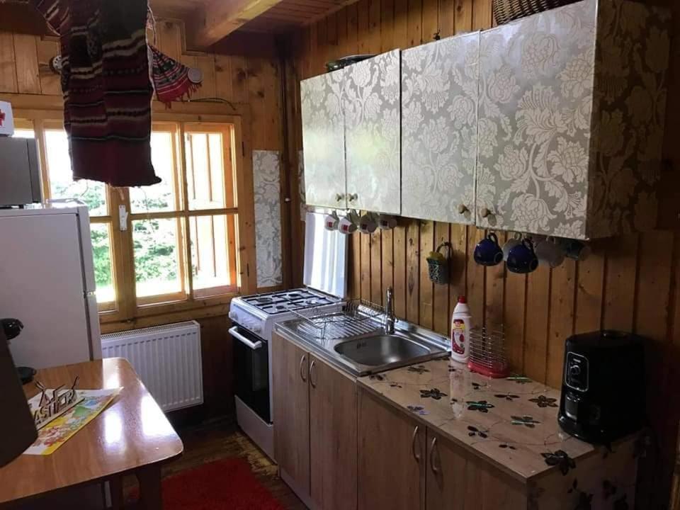 Cabana Sabrina Villa Bran  Exteriör bild