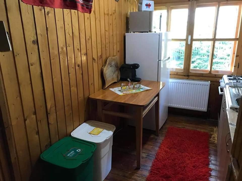 Cabana Sabrina Villa Bran  Exteriör bild