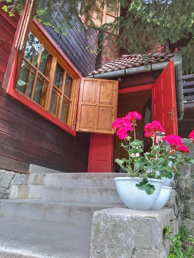 Cabana Sabrina Villa Bran  Exteriör bild