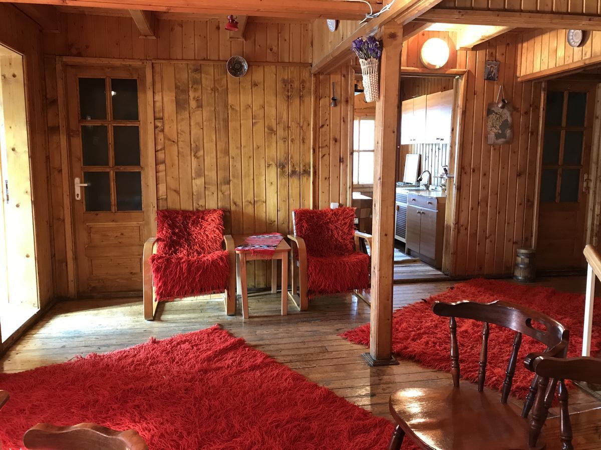 Cabana Sabrina Villa Bran  Exteriör bild