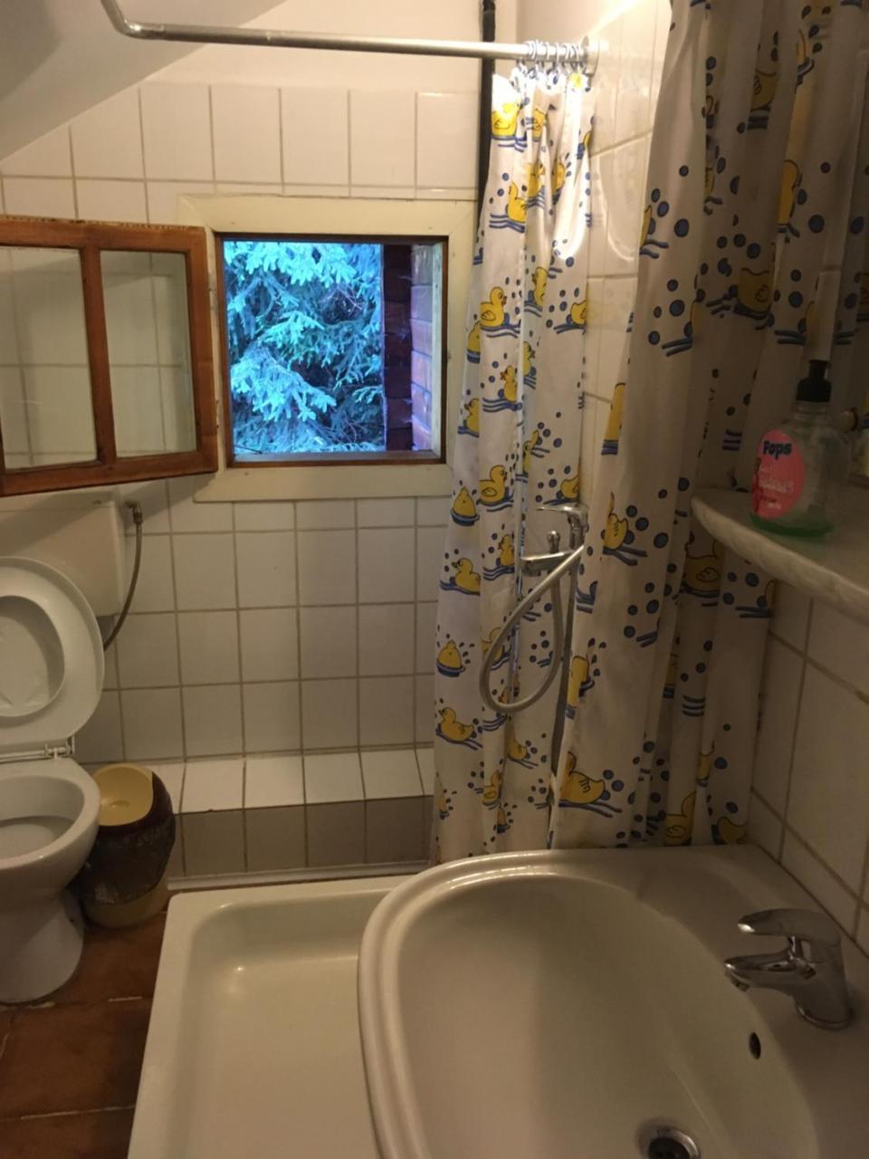 Cabana Sabrina Villa Bran  Exteriör bild