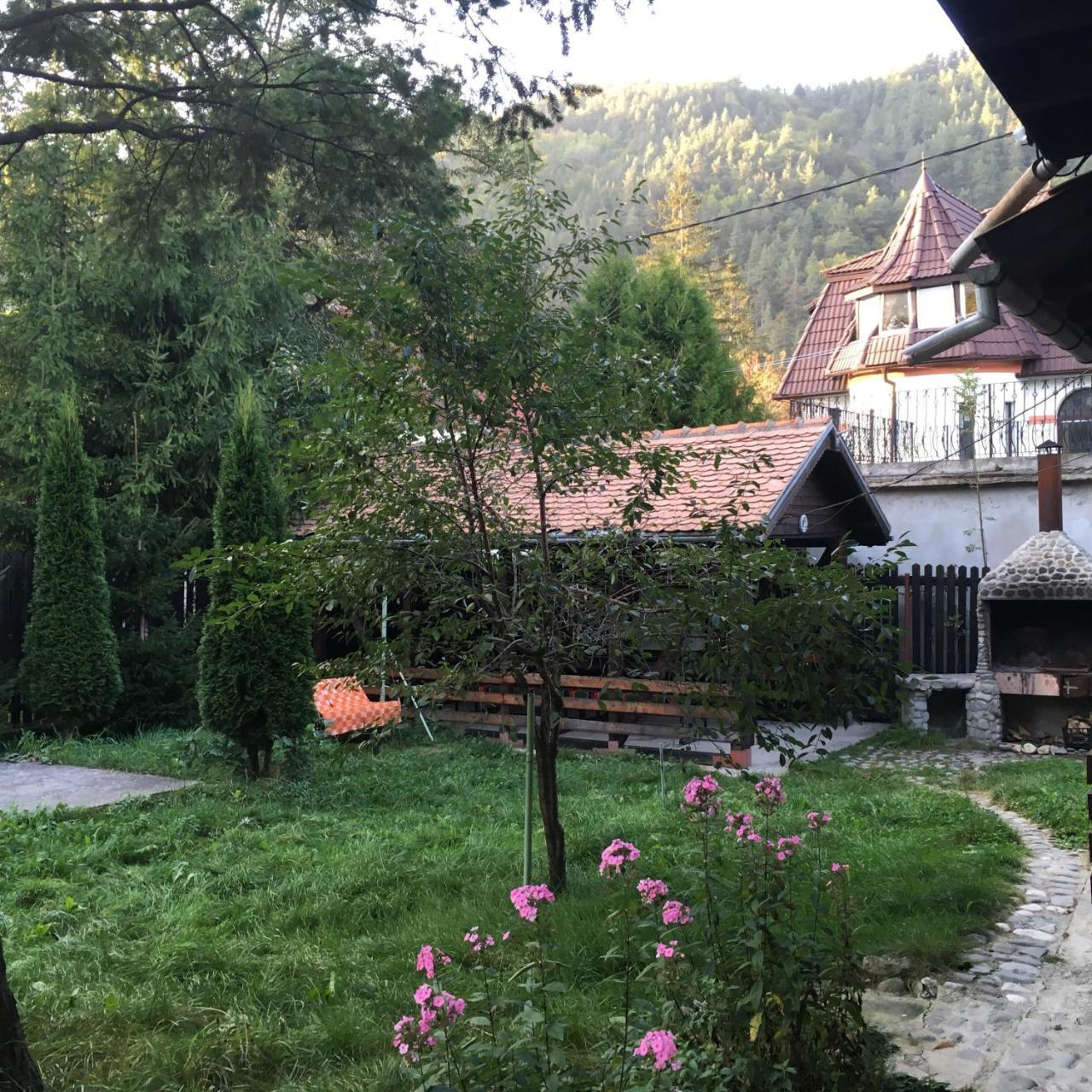 Cabana Sabrina Villa Bran  Exteriör bild
