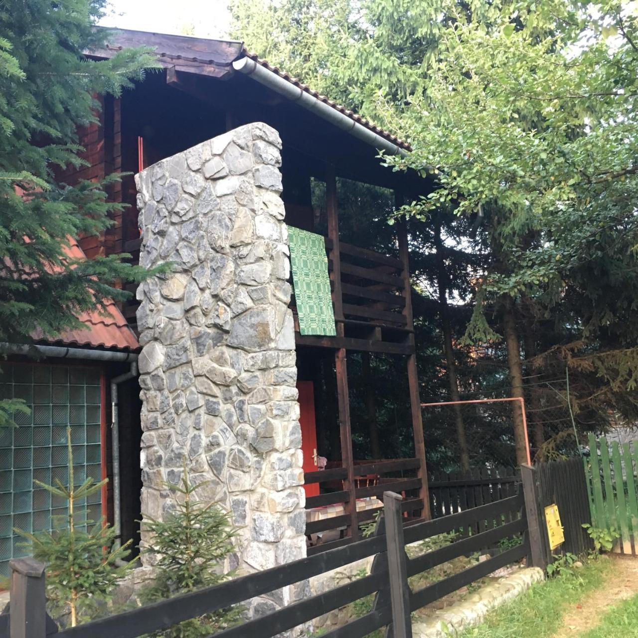 Cabana Sabrina Villa Bran  Exteriör bild