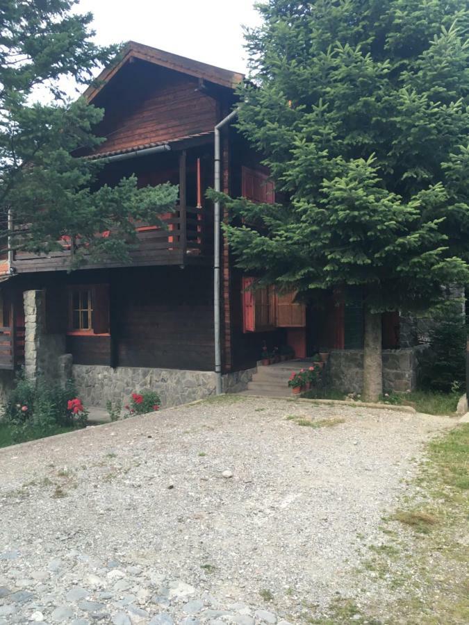 Cabana Sabrina Villa Bran  Exteriör bild